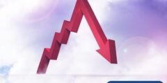 استراتيجية الاستثمار في مواجهة تقلبات السوق