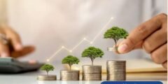 الاستثمار البسيط: حقيقة أم مجرد وهم؟